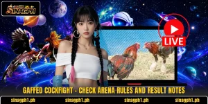 Gaffed Cockfight - Check Arena Rules And Result Notes