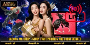 Sabong Matchup - Study Fight Pairings And Form Signals