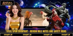 Steel Spur Cockfight - Review Rule Notes And Safety Risks